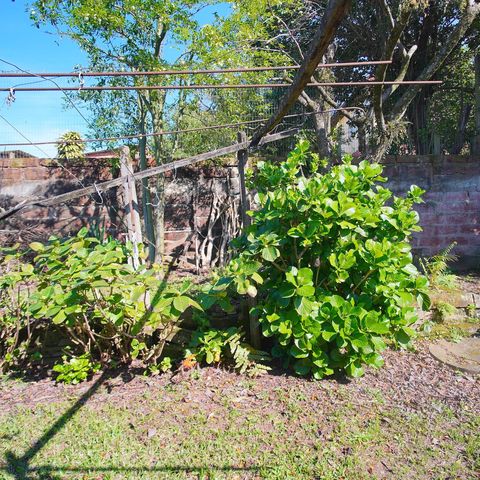 Casa à venda com 184m², 4 quartos e 2 vagasQuintal
