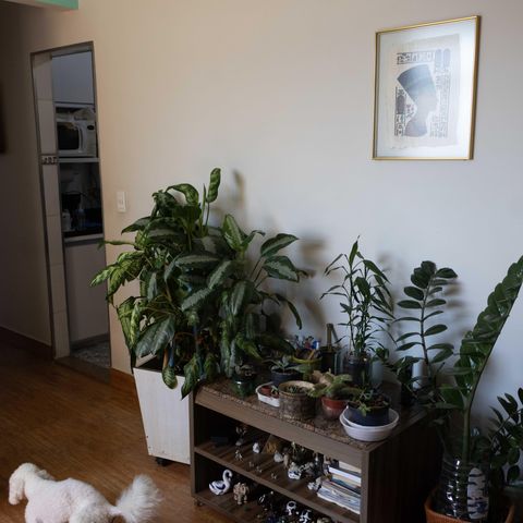 Apartamento à venda com 70m², 3 quartos e 1 vaga Apartamento à venda com 70m², 3 quartos e 1 vagaSala