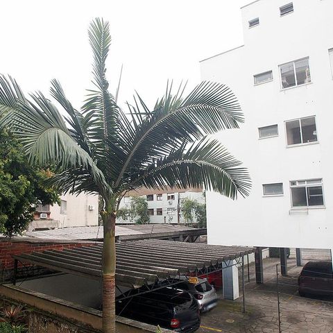 Apartamento para alugar com 150m², 3 quartos e sem vagaEscritório Vista