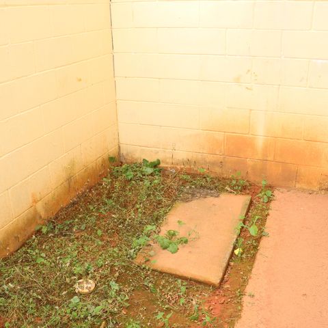 Casa de condomínio para alugar com 80m², 2 quartos e 1 vagaVista da Cozinha