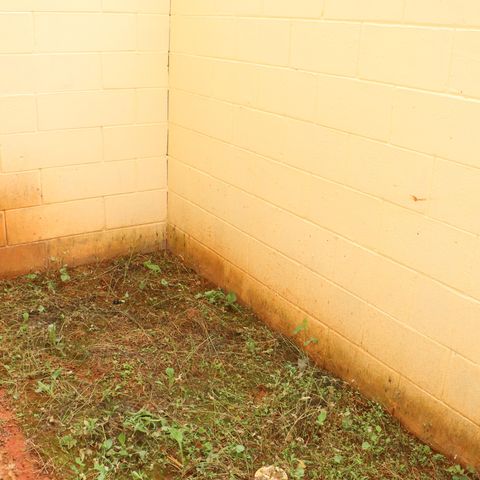 Casa de condomínio para alugar com 80m², 2 quartos e 1 vagaVista da Cozinha