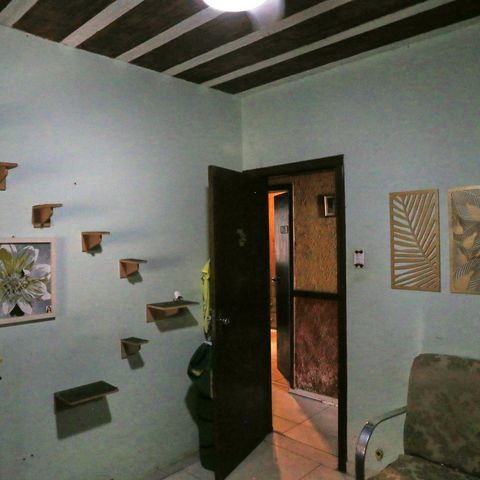 Casa à venda com 597m², 4 quartos e 7 vagas Casa à venda com 597m², 4 quartos e 7 vagasQuarto