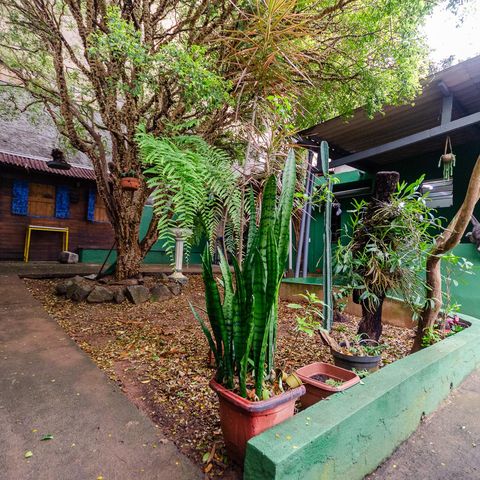 Casa à venda com 340m², 3 quartos e 1 vaga Casa à venda com 340m², 3 quartos e 1 vagaQuintal