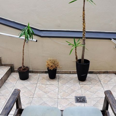 Casa à venda com 231m², 2 quartos e 2 vagas Casa à venda com 231m², 2 quartos e 2 vagasDetalhe - Vista do Quarto 02