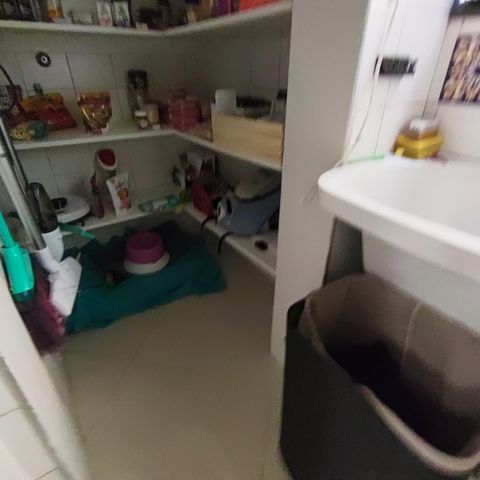 Apartamento à venda com 81m², 3 quartos e 1 vaga