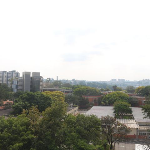 Apartamento à venda com 70m², 2 quartos e 1 vagaVista da Sala