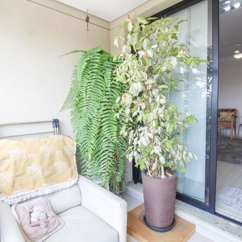 Apartamento à venda com 67m², 3 quartos e 1 vagaSala - Varanda