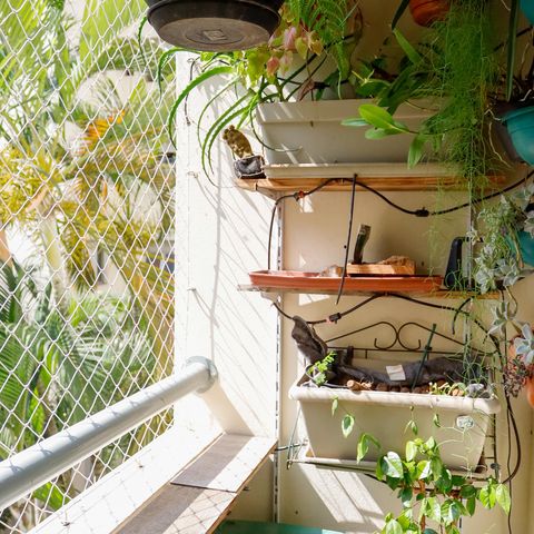 Apartamento à venda com 64m², 3 quartos e 1 vaga Apartamento à venda com 64m², 3 quartos e 1 vagaSacada