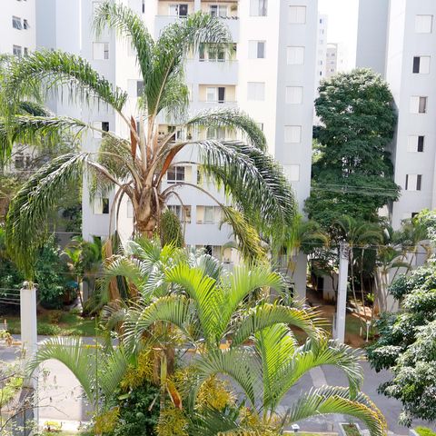 Apartamento à venda com 64m², 3 quartos e 1 vaga Apartamento à venda com 64m², 3 quartos e 1 vagaVista da Sacada
