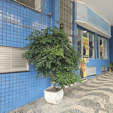 Apartamento para alugar com 97m², 2 quartos e sem vagaFachada e portaria