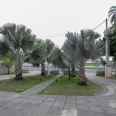 Studio à venda com 19m², 1 quarto e 1 vaga Studio à venda com 19m², 1 quarto e 1 vagaEntrada
