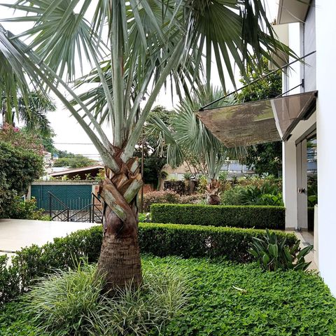 Apartamento à venda com 267m², 4 quartos e 4 vagasJardim