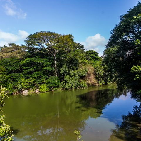 Casa de condomínio à venda com 542m², 6 quartos e 6 vagasVista