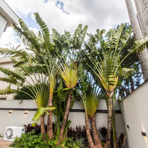 Casa de condomínio à venda com 542m², 6 quartos e 6 vagasQuintal