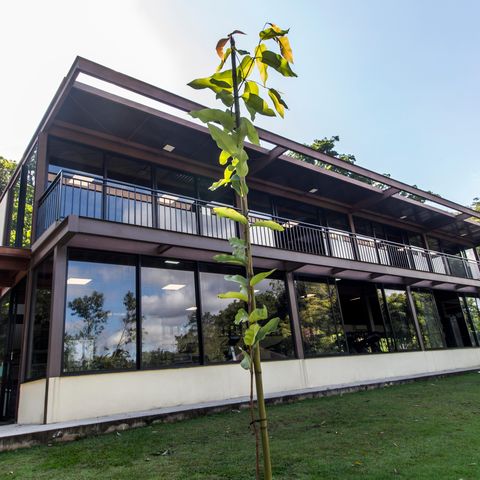 Casa de condomínio à venda com 542m², 6 quartos e 6 vagasAcademia