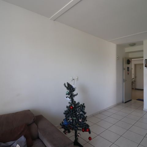 Apartamento para alugar com 71m², 3 quartos e 1 vagaSala