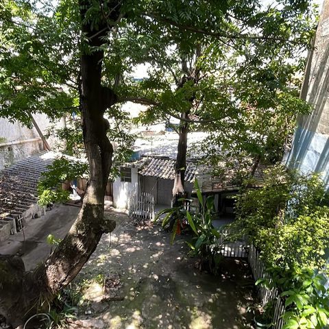 Casa para alugar com 300m², 4 quartos e 5 vagasTerraço