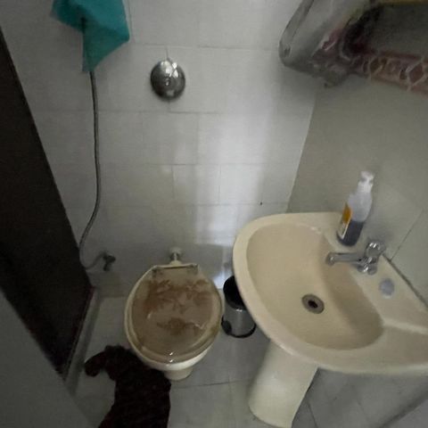 Casa para alugar com 300m², 4 quartos e 5 vagasBanheiro