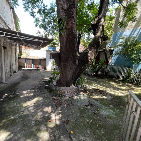 Casa para alugar com 300m², 4 quartos e 5 vagasQuintal