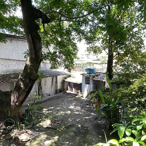 Casa para alugar com 300m², 4 quartos e 5 vagasÁrea comum