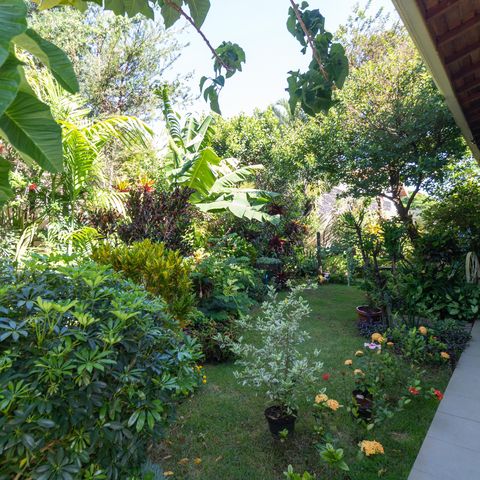 Casa à venda com 254m², 3 quartos e 2 vagasQuintal