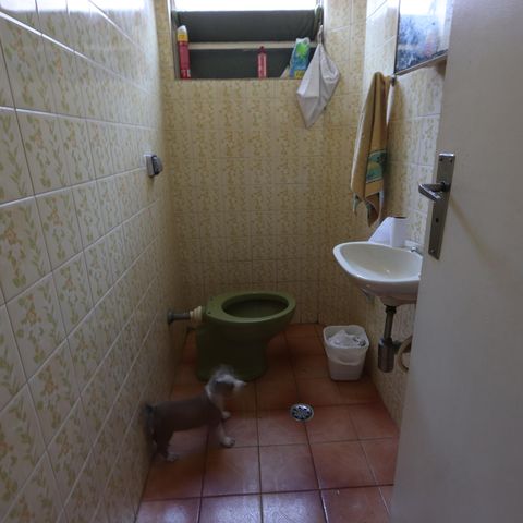 Casa à venda com 125m², 2 quartos e 2 vagasLavabo