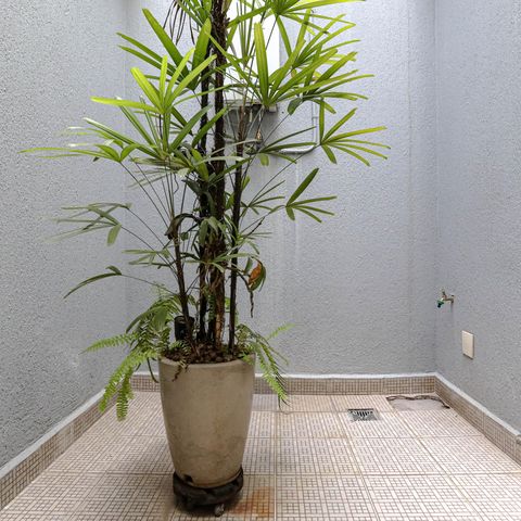 Casa para alugar com 330m², 3 quartos e 2 vagas Casa para alugar com 330m², 3 quartos e 2 vagasJardim de Inverno