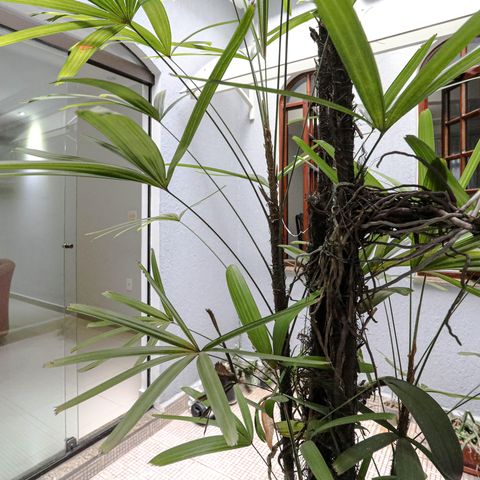 Casa para alugar com 330m², 3 quartos e 2 vagas Casa para alugar com 330m², 3 quartos e 2 vagasJardim de Inverno
