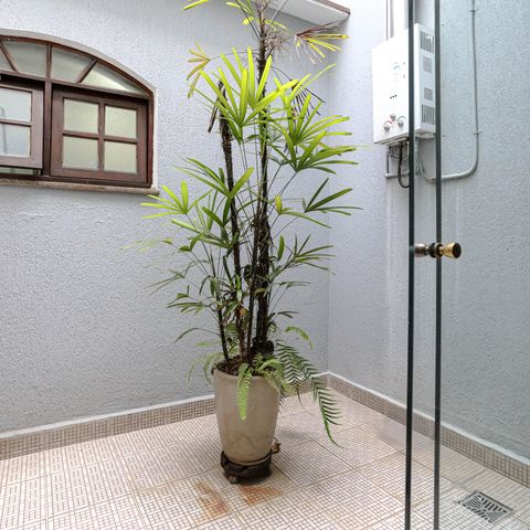 Casa para alugar com 330m², 3 quartos e 2 vagas Casa para alugar com 330m², 3 quartos e 2 vagasJardim de Inverno