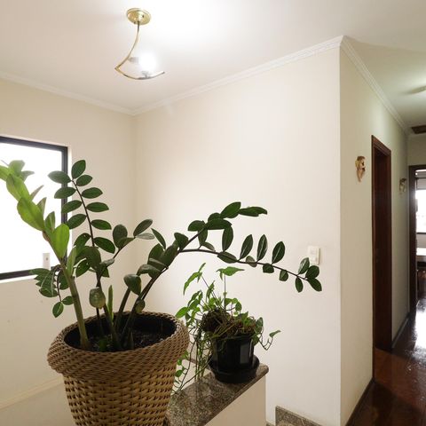 Apartamento à venda com 168m², 3 quartos e 3 vagasCorredor