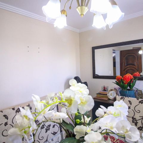 Apartamento à venda com 50m², 2 quartos e 1 vaga