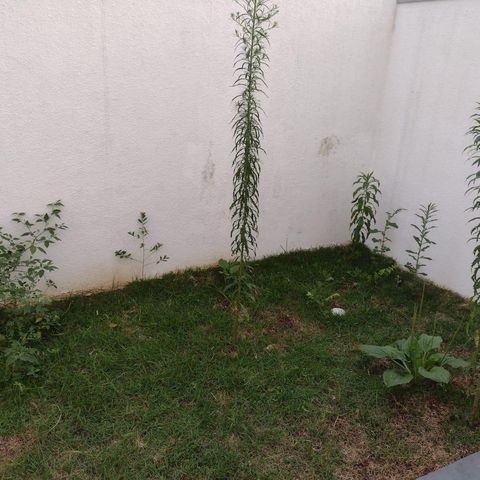 Studio para alugar com 25m², 1 quarto e sem vaga Studio para alugar com 25m², 1 quarto e sem vagaÁrea externa