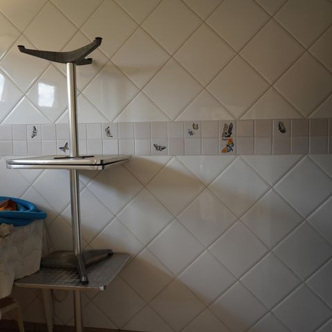 Casa para alugar com 1000m², 4 quartos e 3 vagasÁrea comum