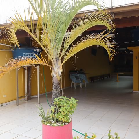 Casa à venda com 400m², 3 quartos e 4 vagasArea de Serviço e Varanda Gourmet 