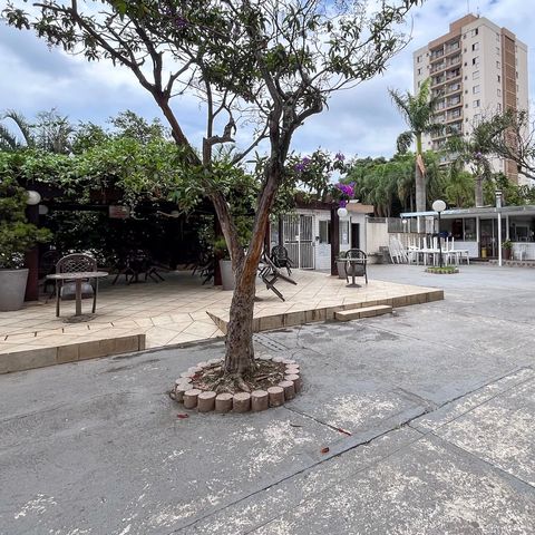 Apartamento à venda com 67m², 3 quartos e 1 vagaÁrea comum