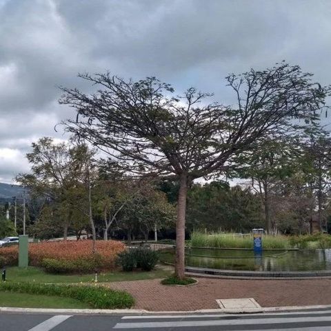 Casa de condomínio à venda com 350m², 4 quartos e 4 vagas