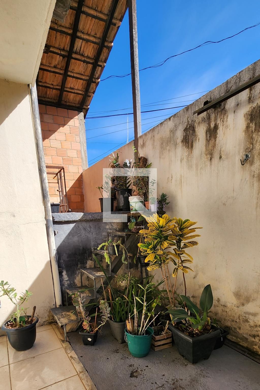 Foto 41
