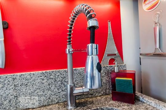 Detalhe cozinha de apartamento para alugar com 2 quartos, 53m² em Lapa, São Paulo
