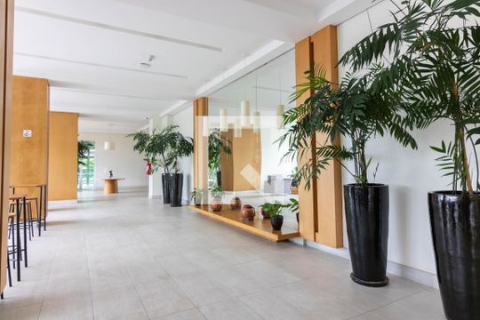 Hall de entrada, térreo  de apartamento para alugar com 1 quarto, 38m² em Vila Cruzeiro, São Paulo