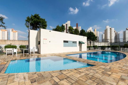 Área comum - Piscina de apartamento à venda com 3 quartos, 70m² em Brás, São Paulo