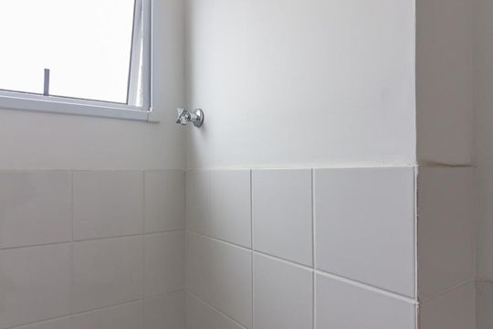 Banheiro de apartamento para alugar com 1 quarto, 33m² em Cambuci, São Paulo