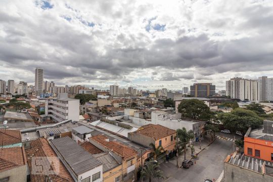 Vista de apartamento para alugar com 1 quarto, 33m² em Cambuci, São Paulo