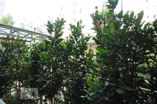 Apartamento à venda com 3 quartos, 63m² em Jardim das Vertentes, São Paulo