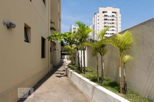 Área comum - Jardim de apartamento à venda com 2 quartos, 60m² em Vila Moinho Velho, São Paulo
