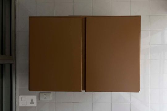 Lavanderia (Armários) de apartamento para alugar com 2 quartos, 54m² em Vila da Saúde, São Paulo