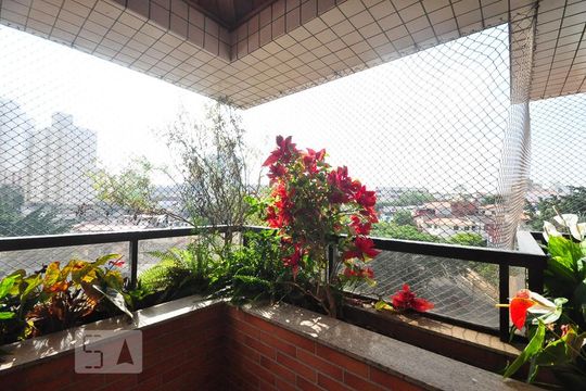 varanda de apartamento para alugar com 3 quartos, 141m² em Vila Mascote, São Paulo