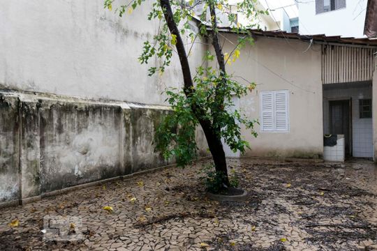 Quintal de casa para alugar com 2 quartos, 120m² em Mirandópolis, São Paulo