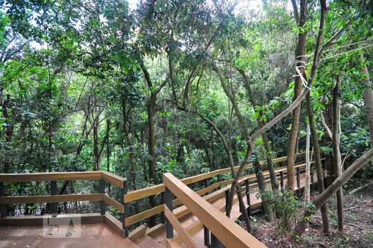 Parque privativo de apartamento para alugar com 1 quarto, 56m² em Jardim Ampliacao, São Paulo