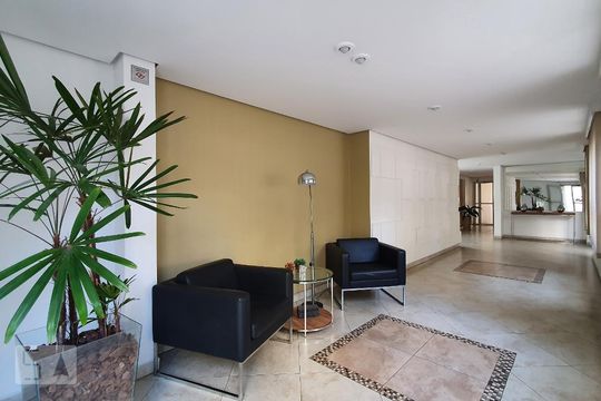 Hall social de apartamento para alugar com 3 quartos, 82m² em Alto da Lapa, São Paulo