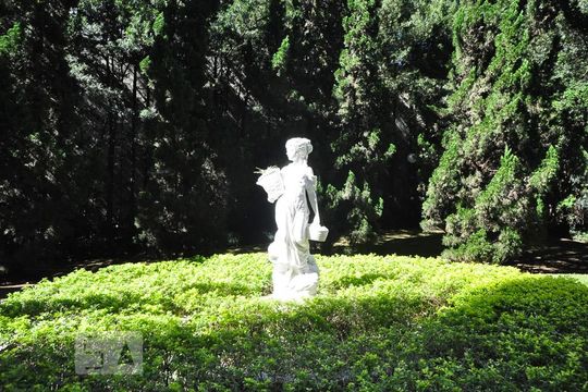 Jardim de apartamento para alugar com 3 quartos, 171m² em Vila Suzana, São Paulo